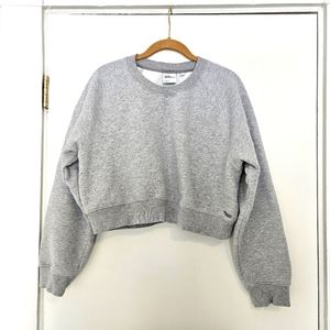 Aritzia TNA cozy fleece cropped raglan sweatshirt